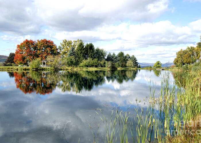 Lake Greeting Card featuring the photograph The View Across The Lake by David Birchall