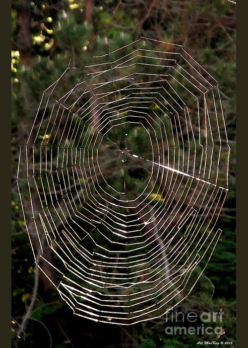 Web Greeting Card featuring the photograph The Web by Art MacKay