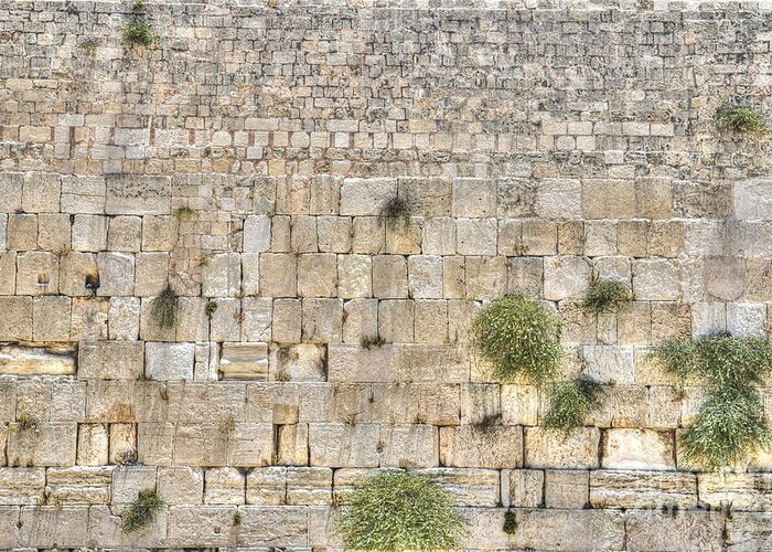 Western Wall Greeting Card featuring the photograph The Western Wall Jerusalem Israel by Amir Paz