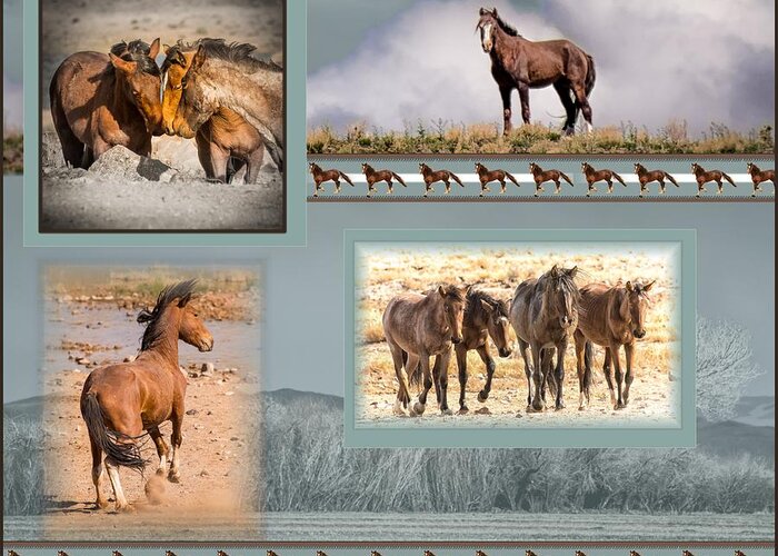 Horses Greeting Card featuring the photograph The Wild Horses of Nevada by Janis Knight