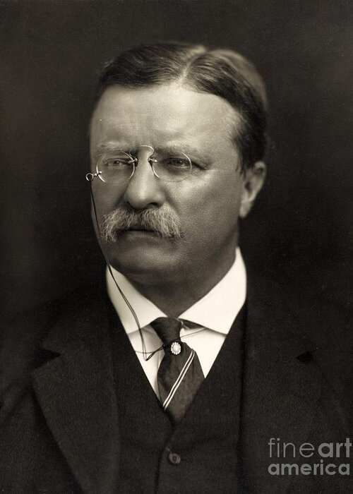 Theodore Roosevelt Greeting Card featuring the photograph Theodore Roosevelt by American School
