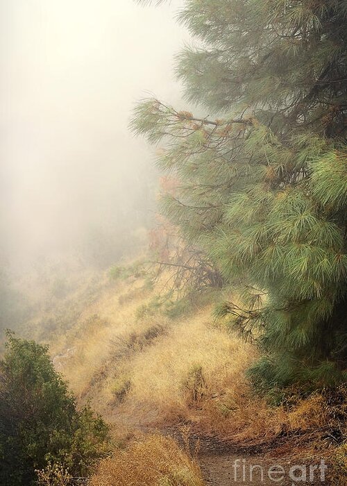 Fog Greeting Card featuring the photograph There and Back Again 2 by Ellen Cotton