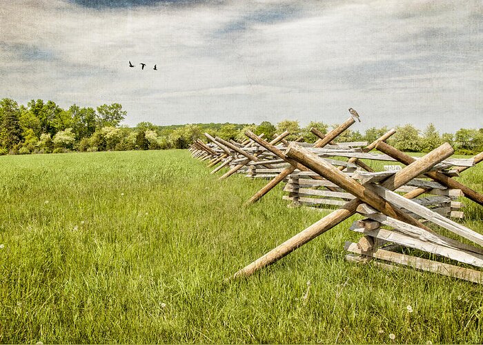 Fence Greeting Card featuring the photograph There Was A Crooked Fence by Cathy Kovarik