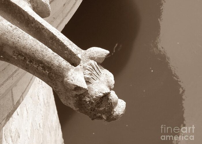 Gargoyle Greeting Card featuring the photograph Thirsty Gargoyle - Sepia by HEVi FineArt