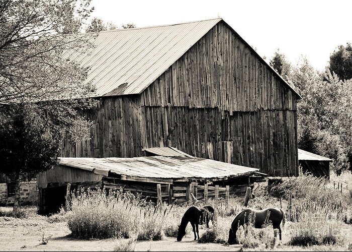  Greeting Card featuring the photograph This Old Farm by Cheryl Baxter
