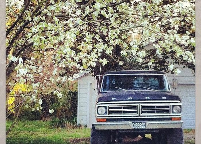  Greeting Card featuring the photograph This Truck Is Ready For Summer Time In by Whitney Sanders
