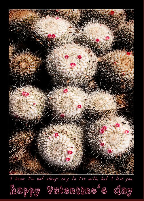 Valentine Greeting Card featuring the photograph Thorny Valentine by Weston Westmoreland