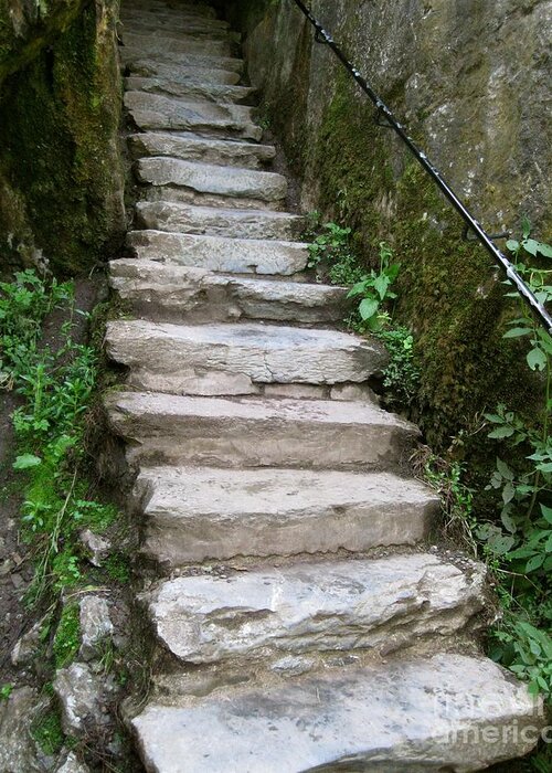 Wishing Steps Greeting Card featuring the photograph Those Wishing Steps by John OSullivan