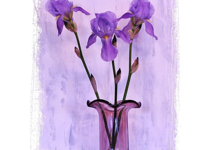 Photo Greeting Card featuring the photograph Three Purple Irises by Marsha Heiken