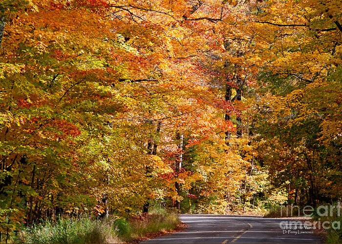 David Perry Lawrence Greeting Card featuring the photograph Through the Woods by D. Perry Lawrence by David Perry Lawrence