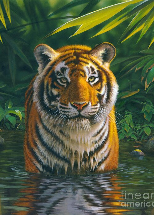 Animal Greeting Card featuring the photograph Tiger Pool by MGL Meiklejohn Graphics Licensing