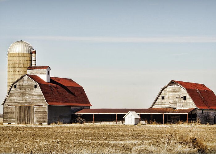 Barn Greeting Card featuring the photograph Timeless Twosome by Cricket Hackmann