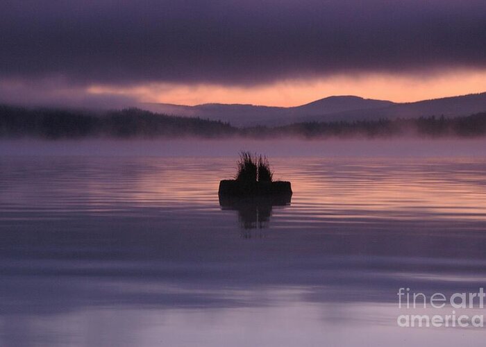 Calm Greeting Card featuring the photograph Timothy Lake Serenity by Rick Bures