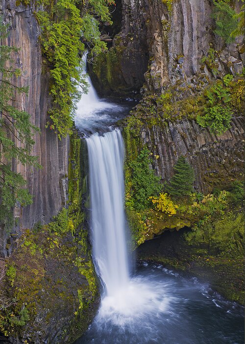 Loree Johnson Greeting Card featuring the photograph Toketee Falls by Loree Johnson