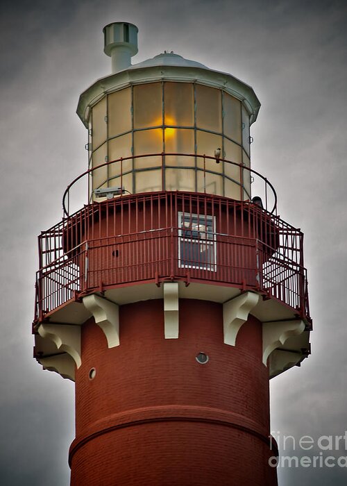 Lbi Greeting Card featuring the photograph Top of Barney 2007 - Hawk's Perch by Mark Miller