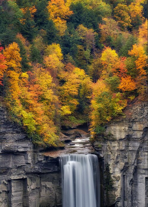 Taughannock Falls Greeting Card featuring the photograph Top of the falls by Mark Papke