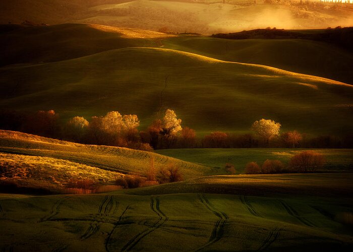 Toskany Greeting Card featuring the photograph Golden fields of val d'Orcia by Jaroslaw Blaminsky