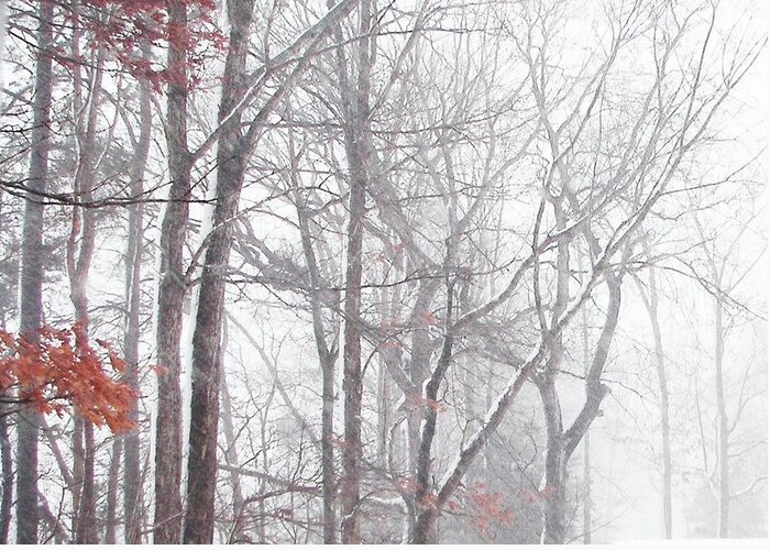 Nature Greeting Card featuring the photograph Touch of Fall in Winter Fog by Pamela Hyde Wilson