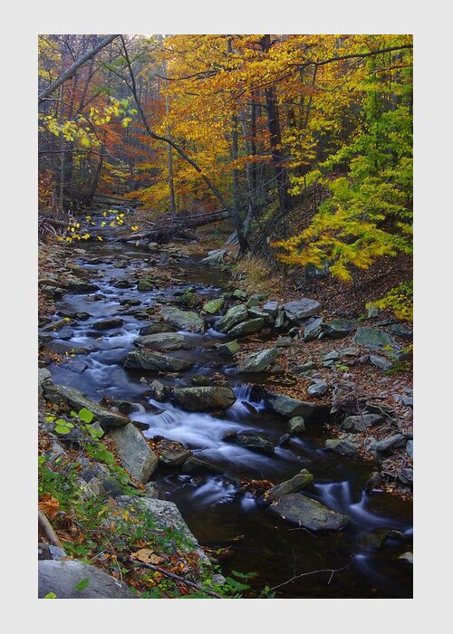 Maryland Greeting Card featuring the photograph Tracking Color - Big Hunting Creek Catoctin Mountain Park Maryland Autumn Afternoon by Michael Mazaika