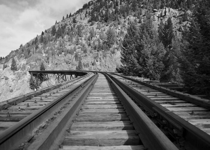 Train Trestle Framed Prints Greeting Card featuring the photograph Tracks by Kevin Bone