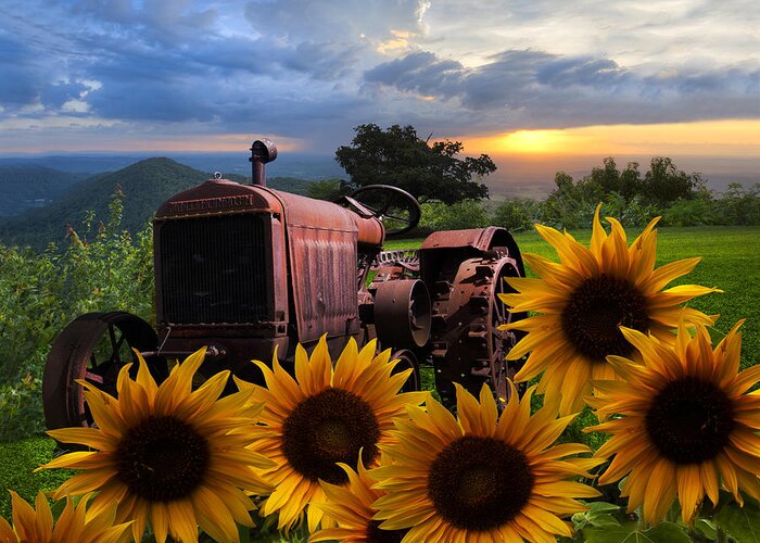 Appalachia Greeting Card featuring the photograph Tractor Heaven by Debra and Dave Vanderlaan