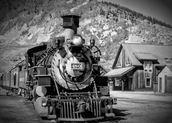 Home Greeting Card featuring the photograph Train 480 by Richard Gehlbach