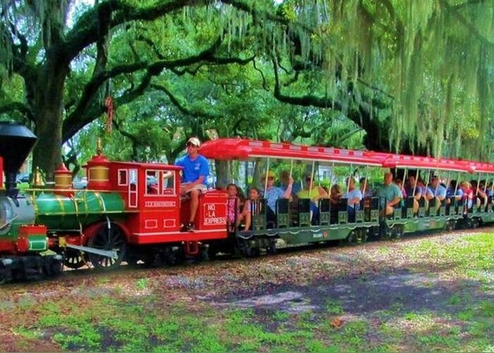Train Greeting Card featuring the photograph Train - New Orleans City Park by Deborah Lacoste