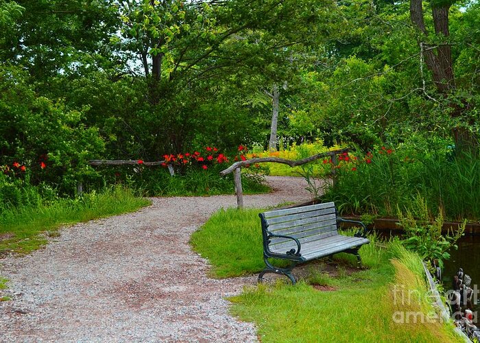 Nature Images Greeting Card featuring the photograph Tranquility Path by Stacie Siemsen