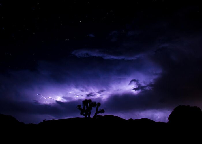 Joshua Tree Greeting Card featuring the photograph Tree and Lightning by Kunal Mehra