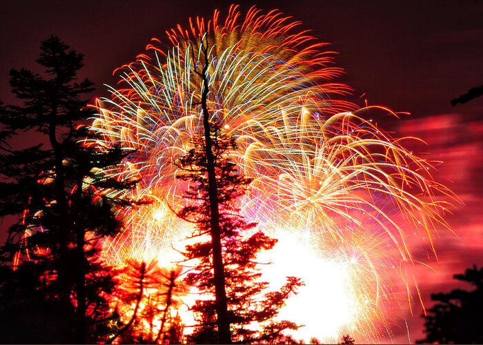 Lake Tahoe Greeting Card featuring the photograph Tree-filtered Fireworks - Lake Tahoe - Nevada / California by Bruce Friedman