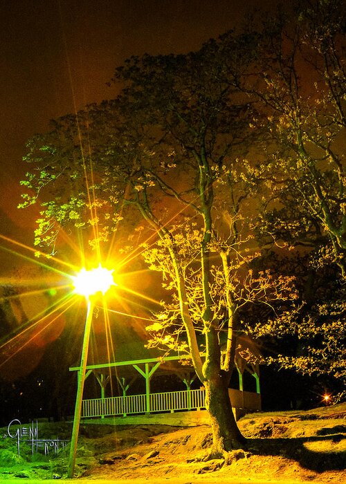 Landscape Greeting Card featuring the photograph Tree Lights by Glenn Feron
