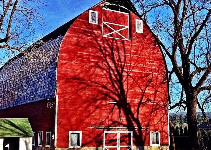  Greeting Card featuring the photograph Tree Shadows Cast Upon The Big Red Barn by Jon Kraft