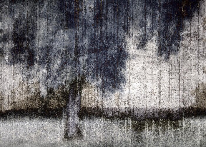 Tree Greeting Card featuring the photograph Tree Through Sheer Curtains by Carol Leigh