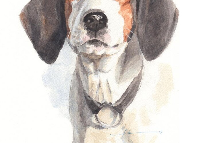 <a Href=http://miketheuer.com Target =_blank>www.miketheuer.com</a> Treeing Walker Coonhound Greeting Card featuring the drawing Treeing Walker Coonhound by Mike Theuer