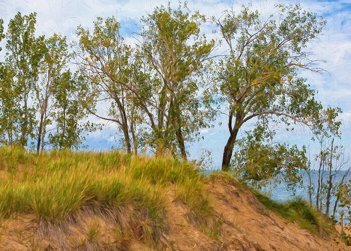 Sky Greeting Card featuring the photograph Trees on a Sand Dune Overlooking Lake Michigan by John M Bailey