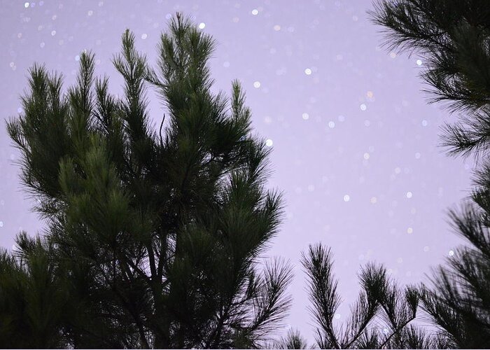 Trees Greeting Card featuring the photograph Trees Under the Stars by David Morefield