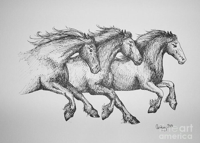 Horses Greeting Card featuring the drawing Trio by Catherine Howley