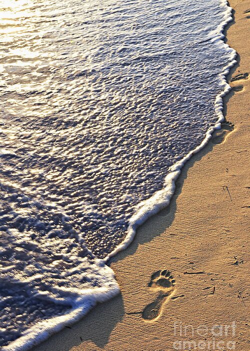 Footstep Greeting Card featuring the photograph Tropical beach with footprints by Elena Elisseeva