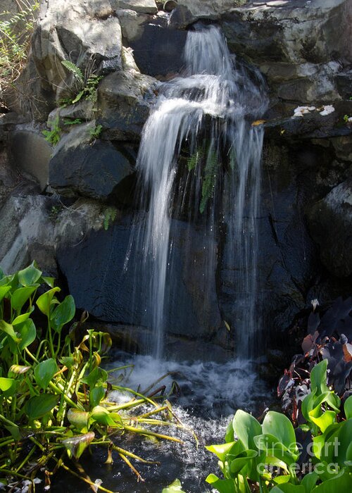 Waterfall Greeting Card featuring the photograph Tropical Waterfall by Laurel Best