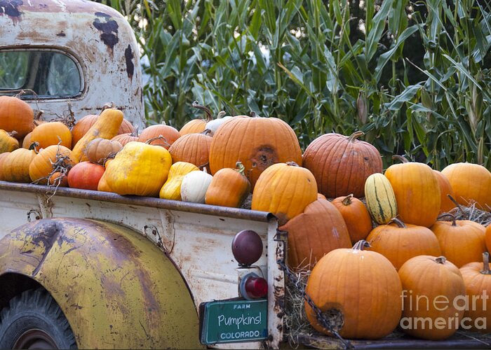 Agribusiness Greeting Card featuring the photograph Truck Full of Pumpkins by Juli Scalzi