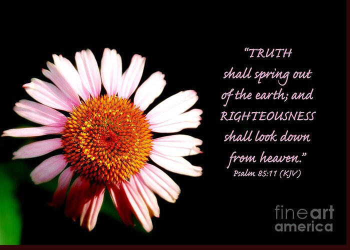 Inspiration Greeting Card featuring the photograph Truth and Righteousness by Lincoln Rogers