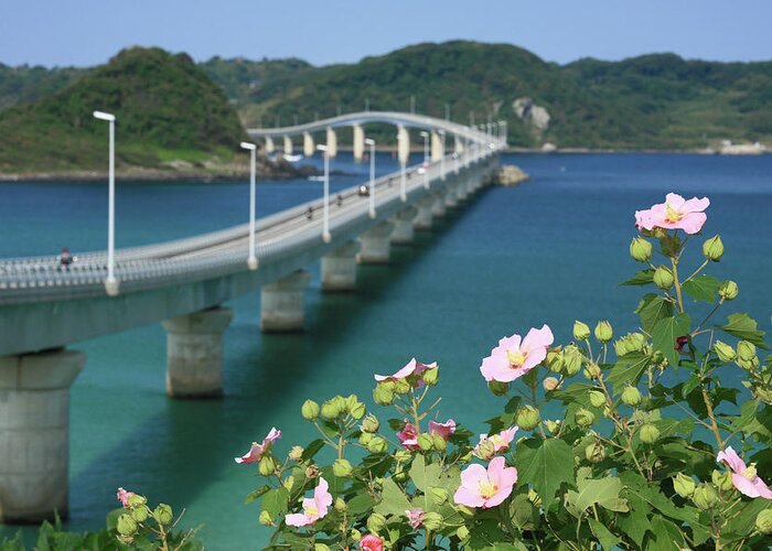 Scenics Greeting Card featuring the photograph Tsunoshima Bridge by Tomosang