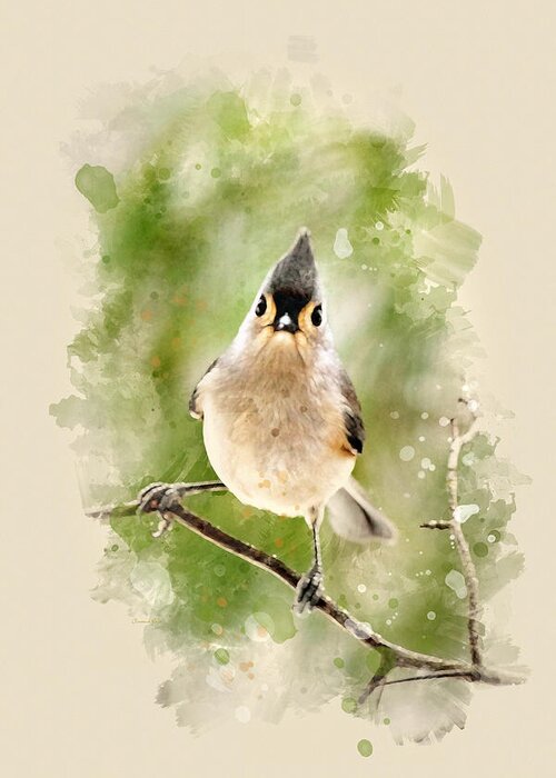 Bird Greeting Card featuring the mixed media Tufted Titmouse - Watercolor Art by Christina Rollo