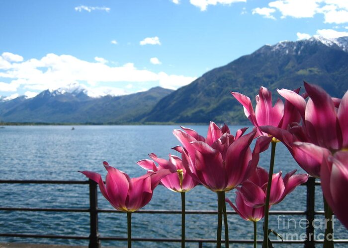 Sky Greeting Card featuring the photograph Tulips at Lake Geneva by Amanda Mohler