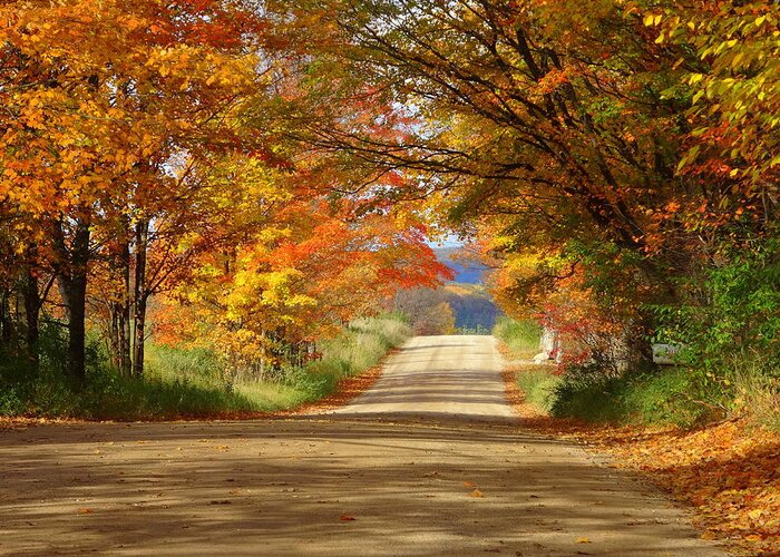 Michigan Back Road Greeting Card featuring the photograph Tunnel of Trees by Kathleen Luther