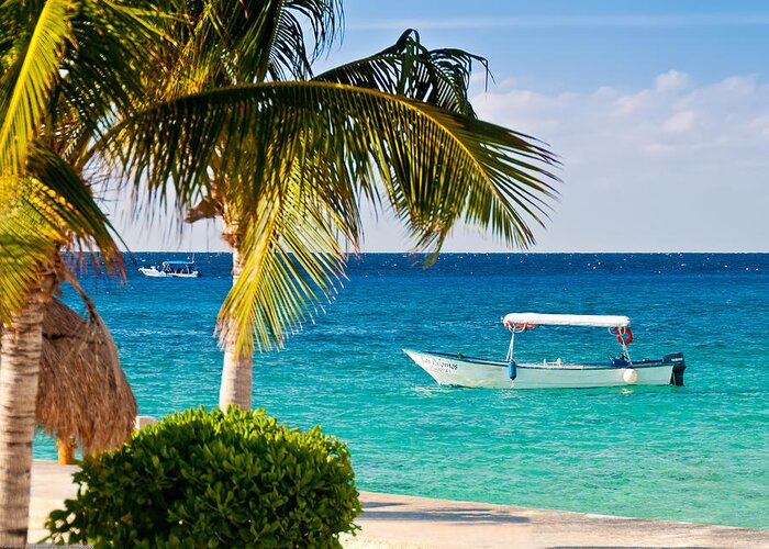 Cozumel Greeting Card featuring the photograph Turquoise waters in Cozumel by Mitchell R Grosky