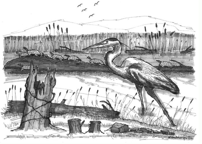 Wildlife Greeting Card featuring the drawing Turtles and Heron by Richard Wambach