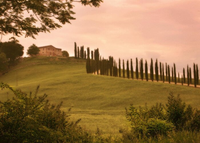 Tuscany Landscape Fine Art Photo Greeting Card featuring the photograph Tuscan Cypress Drive by Bob Coates