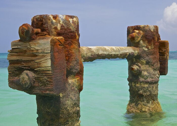 Aruba Greeting Card featuring the painting Twin Rusted Dock Piers of the Caribbean by David Letts