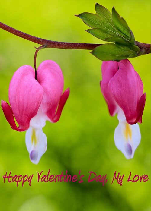 Beautiful Greeting Card featuring the photograph Two Hearts Valentine's Day by Heidi Smith